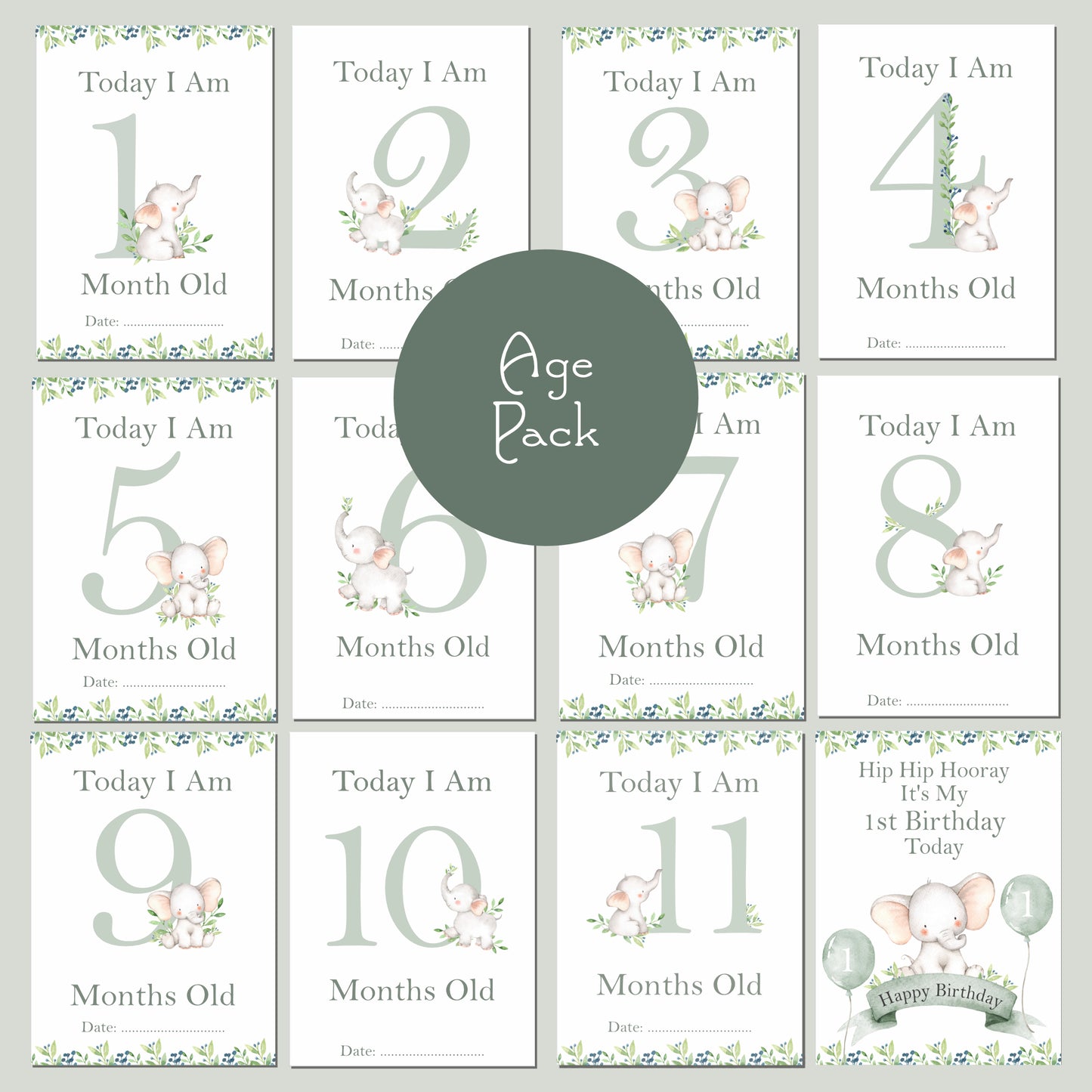 Little Ellie Elephant Milestone Cards - New Baby Gift