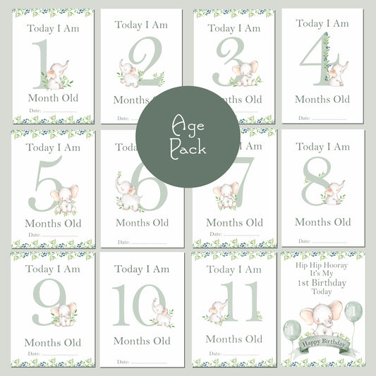 Little Ellie Elephant Milestone Cards - New Baby Gift