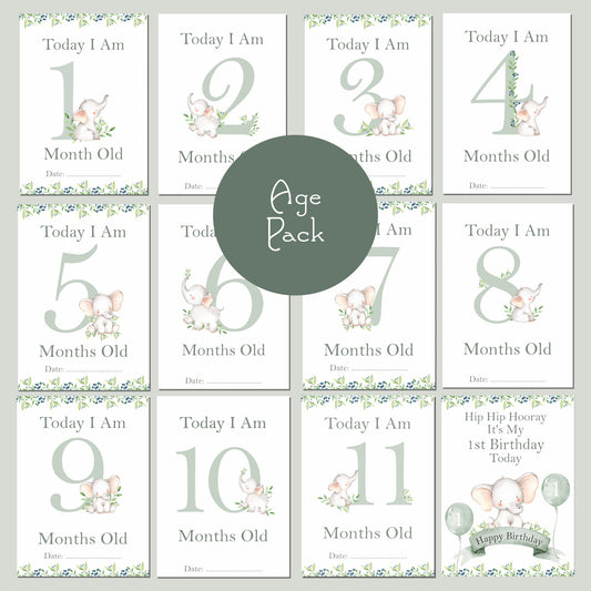 Woodland Fawn Pink Milestone Cards - New Baby Gift