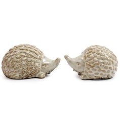 Ceramic Hedgehogs