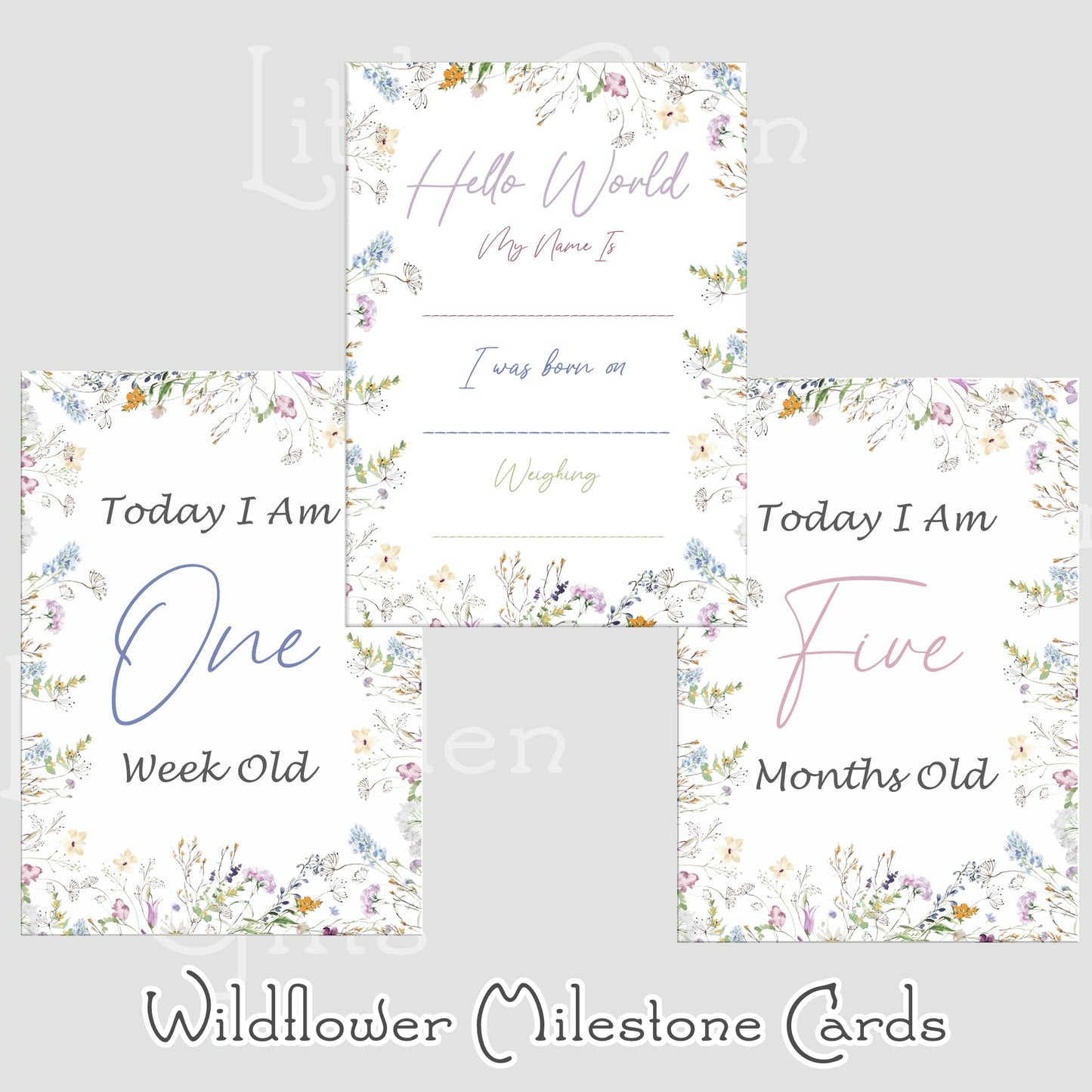 Wildflower Milestone Cards - New Baby Gift